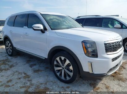 Lot #2995298641 2021 KIA TELLURIDE EX