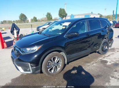 Lot #2994067885 2022 HONDA CR-V AWD EX