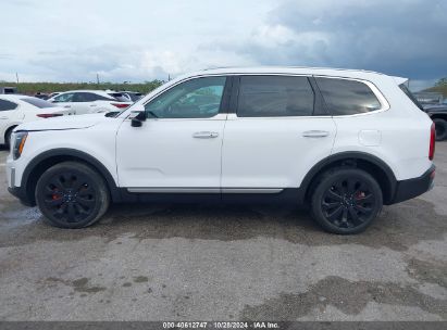 Lot #2992823924 2021 KIA TELLURIDE S