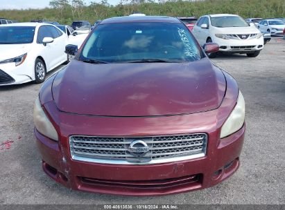 Lot #2995298785 2011 NISSAN MAXIMA 3.5 S