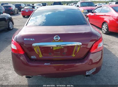 Lot #2995298785 2011 NISSAN MAXIMA 3.5 S