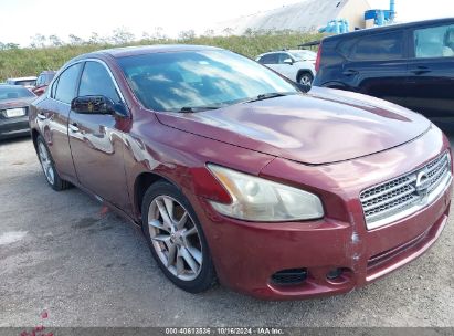 Lot #2995298785 2011 NISSAN MAXIMA 3.5 S