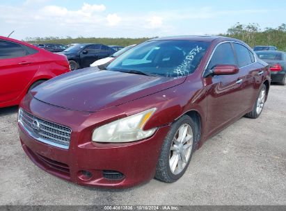 Lot #2995298785 2011 NISSAN MAXIMA 3.5 S