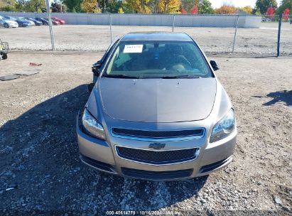 Lot #2989127456 2010 CHEVROLET MALIBU LS