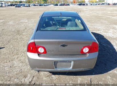 Lot #2989127456 2010 CHEVROLET MALIBU LS