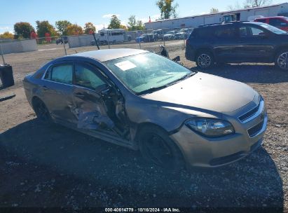 Lot #2989127456 2010 CHEVROLET MALIBU LS