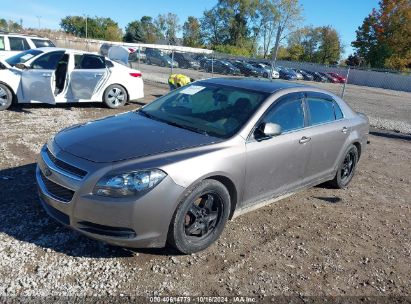 Lot #2989127456 2010 CHEVROLET MALIBU LS