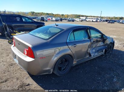 Lot #2989127456 2010 CHEVROLET MALIBU LS