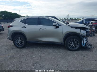 Lot #3035076036 2024 LEXUS NX 250