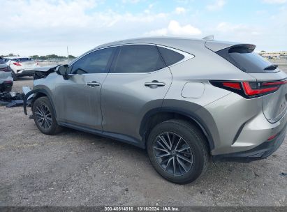 Lot #3035076036 2024 LEXUS NX 250