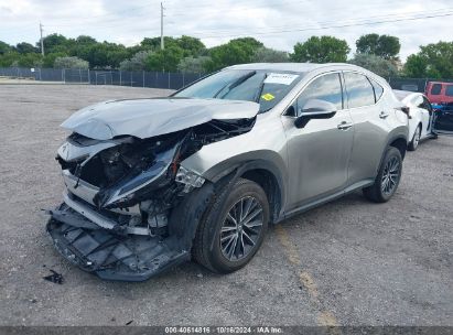 Lot #3035076036 2024 LEXUS NX 250