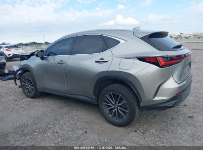 Lot #3035076036 2024 LEXUS NX 250