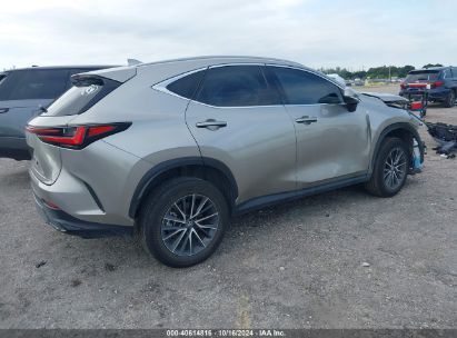 Lot #3035076036 2024 LEXUS NX 250