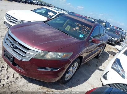 Lot #2989127459 2012 HONDA CROSSTOUR EX-L