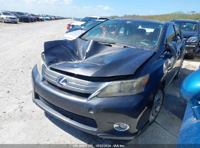 Lot #2992823871 2010 LEXUS HS 250H PREMIUM