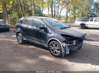 Lot #2995298516 2014 FORD ESCAPE SE