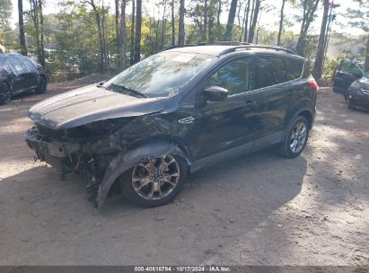 Lot #2995298516 2014 FORD ESCAPE SE