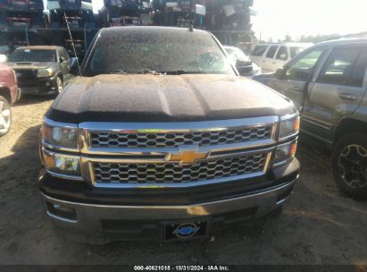 Lot #3035707652 2014 CHEVROLET SILVERADO 1500 1LT