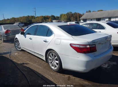 Lot #3005348961 2007 LEXUS LS 460