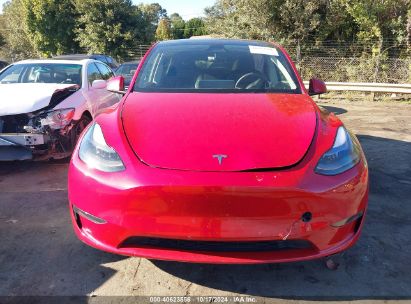 Lot #2990348874 2023 TESLA MODEL Y AWD/LONG RANGE DUAL MOTOR ALL-WHEEL DRIVE