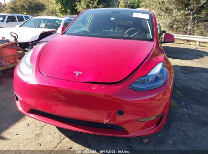 Lot #2990348874 2023 TESLA MODEL Y AWD/LONG RANGE DUAL MOTOR ALL-WHEEL DRIVE