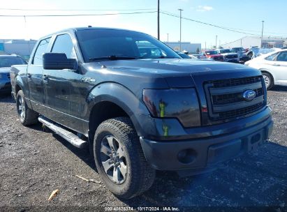 Lot #3035076402 2014 FORD F-150 STX