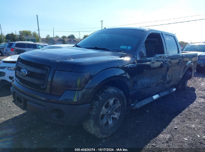 Lot #3035076402 2014 FORD F-150 STX