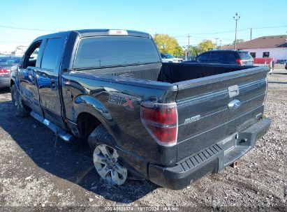 Lot #3035076402 2014 FORD F-150 STX