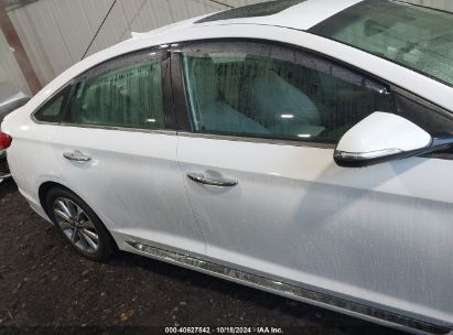 Lot #3035076376 2017 HYUNDAI SONATA LIMITED