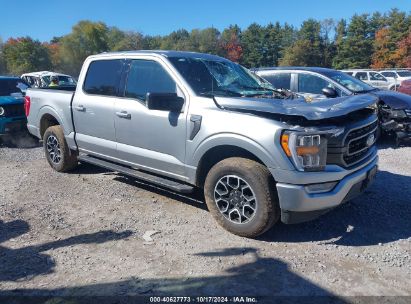 Lot #2995298483 2023 FORD F-150 XLT