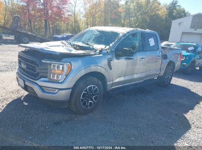 Lot #2995298483 2023 FORD F-150 XLT