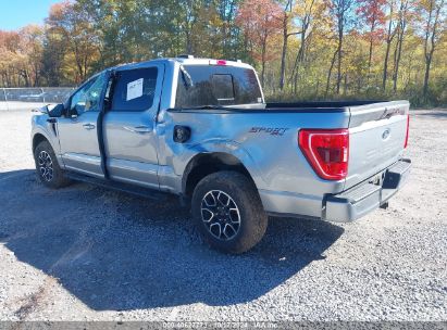 Lot #2995298483 2023 FORD F-150 XLT