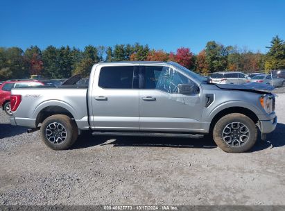 Lot #2995298483 2023 FORD F-150 XLT