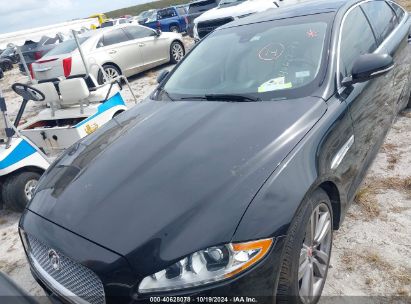 Lot #2995298476 2015 JAGUAR XJ XJL PORTFOLIO