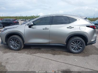 Lot #3010284644 2025 LEXUS NX 250 PREMIUM