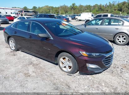 Lot #3035076328 2020 CHEVROLET MALIBU FWD LS