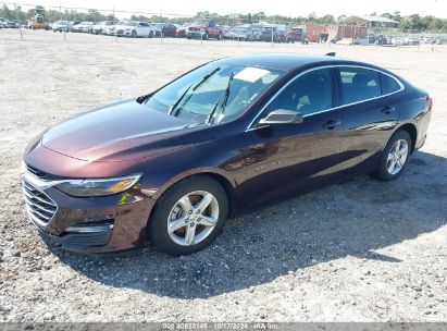 Lot #3035076328 2020 CHEVROLET MALIBU FWD LS