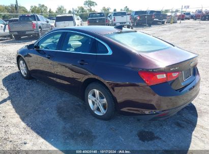 Lot #3035076328 2020 CHEVROLET MALIBU FWD LS