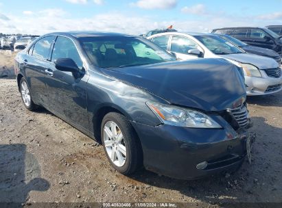 Lot #3035076314 2007 LEXUS ES 350