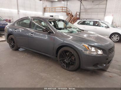 Lot #3035086107 2009 NISSAN MAXIMA 3.5 SV