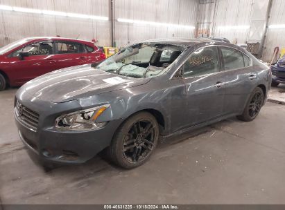 Lot #3035086107 2009 NISSAN MAXIMA 3.5 SV