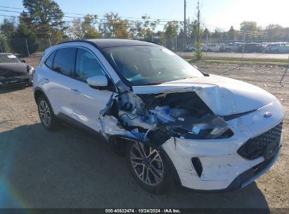 Lot #2995298398 2020 FORD ESCAPE SEL