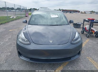 Lot #3035075840 2023 TESLA MODEL 3 REAR-WHEEL DRIVE