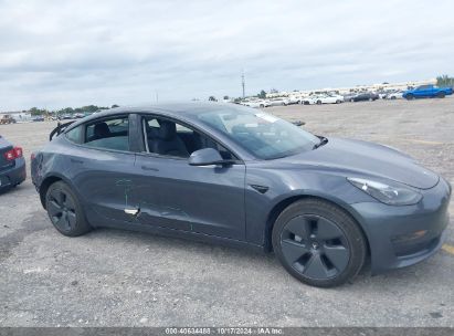 Lot #3035075840 2023 TESLA MODEL 3 REAR-WHEEL DRIVE