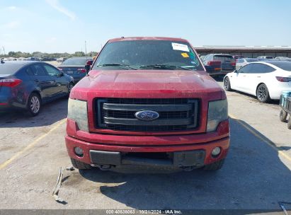 Lot #3052471908 2013 FORD F-150 FX4