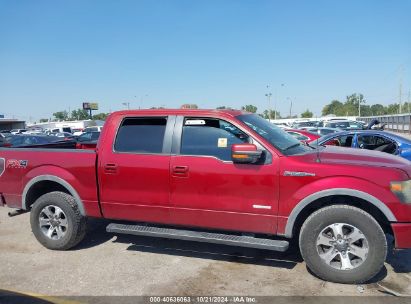 Lot #3052471908 2013 FORD F-150 FX4