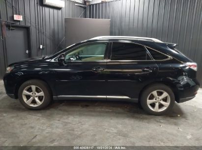 Lot #3050080491 2014 LEXUS RX 350