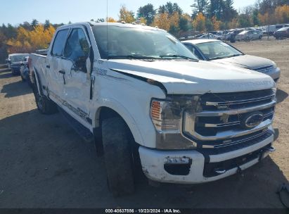 Lot #3006594389 2020 FORD F-350 PLATINUM