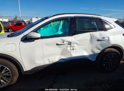 Lot #2990348386 2023 FORD ESCAPE PHEV