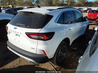 Lot #2990348386 2023 FORD ESCAPE PHEV